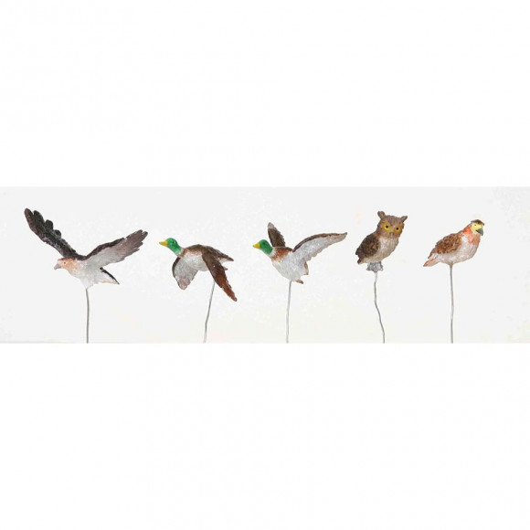ASSORTED BIRDS