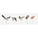 ASSORTED BIRDS