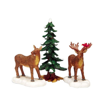 MR AND MRS MOOSE