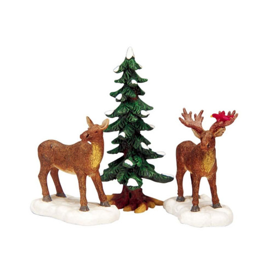 MR AND MRS MOOSE