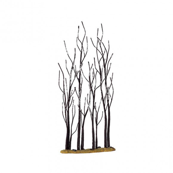 STAND OF SYCAMORE