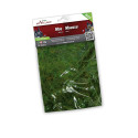 MATERIALE DECORATIVO MUSCHIO VERDE 30GR