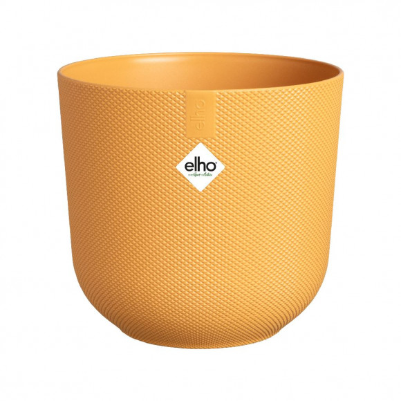 JAZZ R. 23CM GIALLO AMBRA