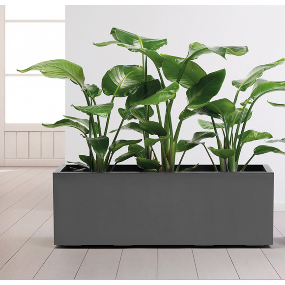 CASS. KEBE CM.100+RIS+RUO. BIA