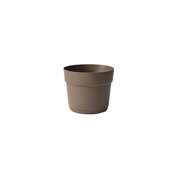 BLOOM 19 SAND