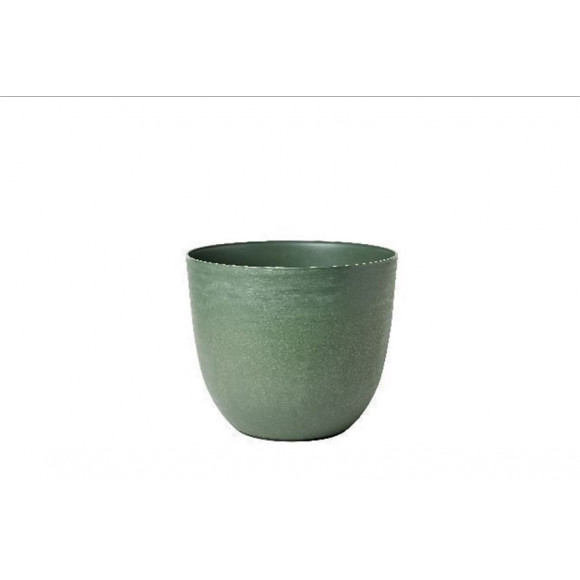 VASO OVER D.58 FOREST