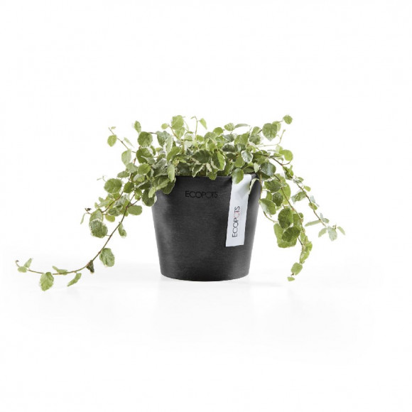 AMSTERDAM 10,5 CM  DARK GREY 2