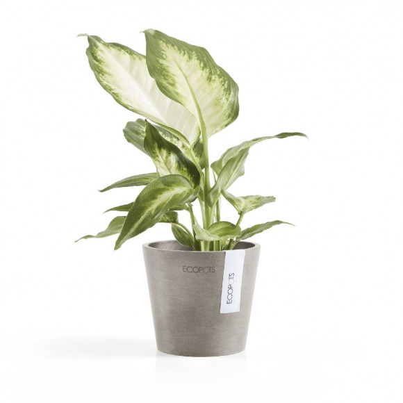 AMSTERDAM 10,5 CM  TAUPE 2