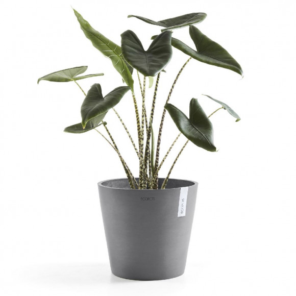 AMSTERDAM 25 CM  GREY 2