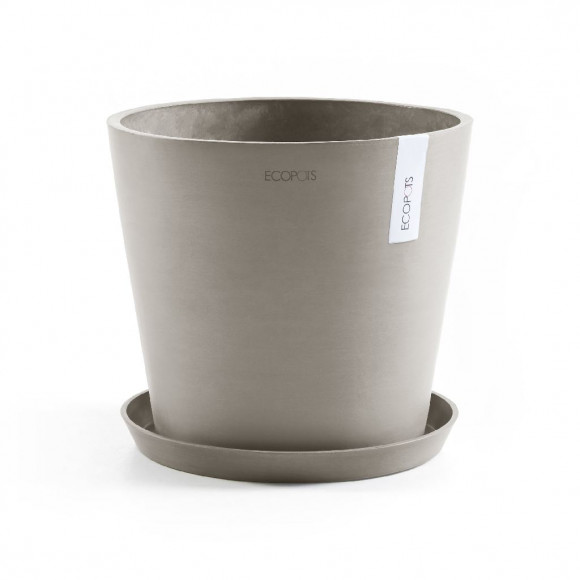 AMSTERDAM 25 CM  TAUPE