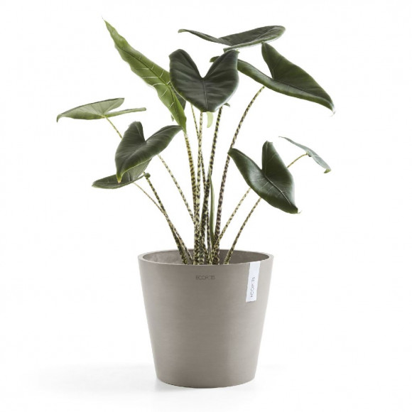 AMSTERDAM 40 CM  TAUPE 2