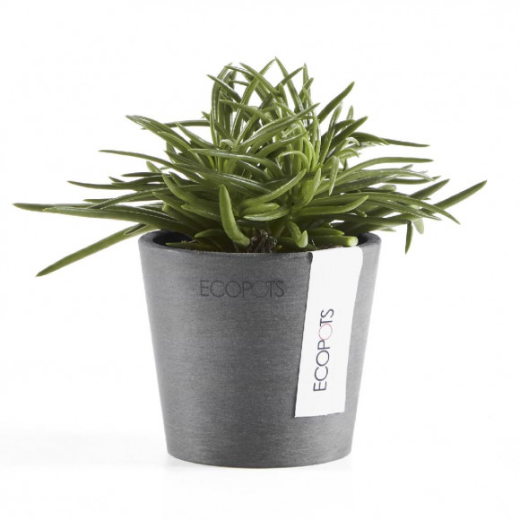 AMSTERDAM 8 CM  GREY 2