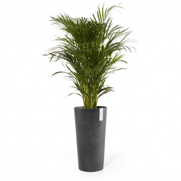 AMSTERDAM HIGH 70 CM  DARK GREY 2