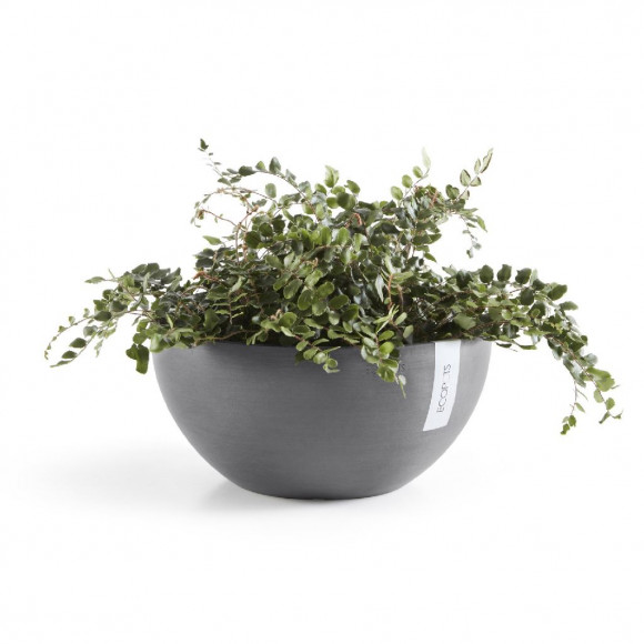 BRUSSELS 25 CM  GREY 2