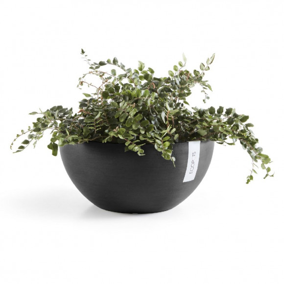 BRUSSELS 30 CM  DARK GREY 2