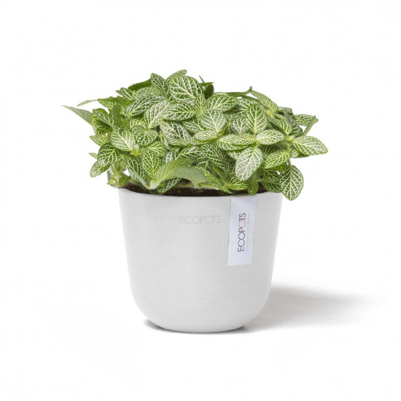 OSLO MINI 11 CM  PW 2