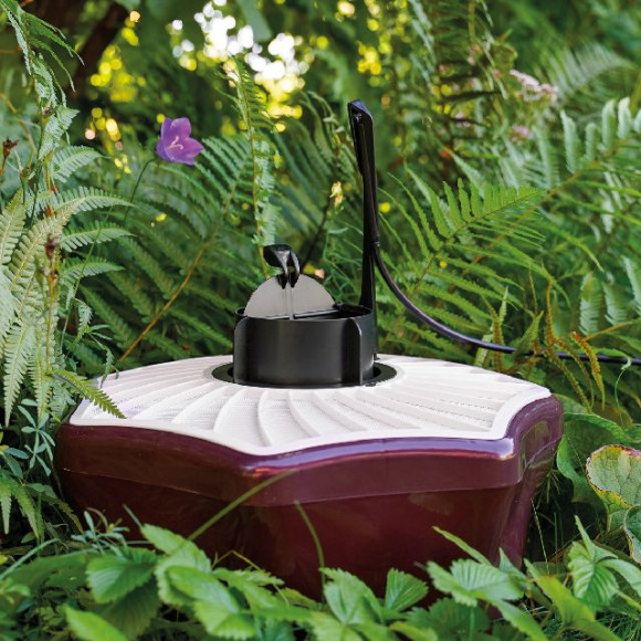 KIT BIOGENTS ESTERNO