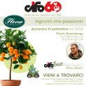 CIFO TOUR - AGRUMI