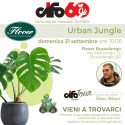 CIFO TOUR - URBANJUNGLE