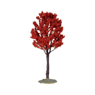 BALDCYPRESS TREE, LARGE