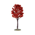 BALDCYPRESS TREE, LARGE