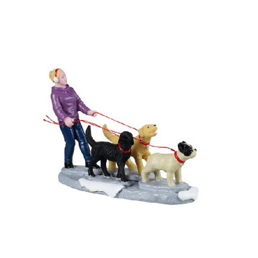 DOG WALKER
