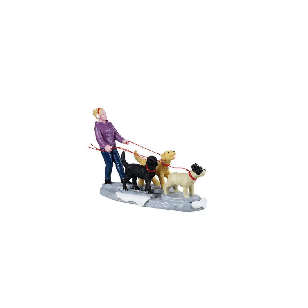 DOG WALKER DOG WALKER