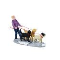DOG WALKER