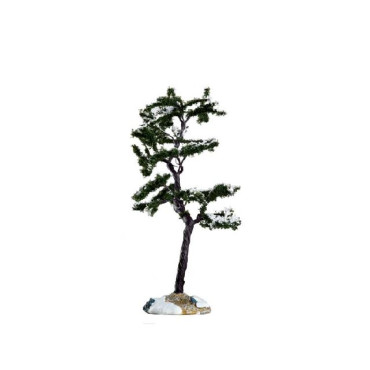 MARCESCENT TREE, SMALL