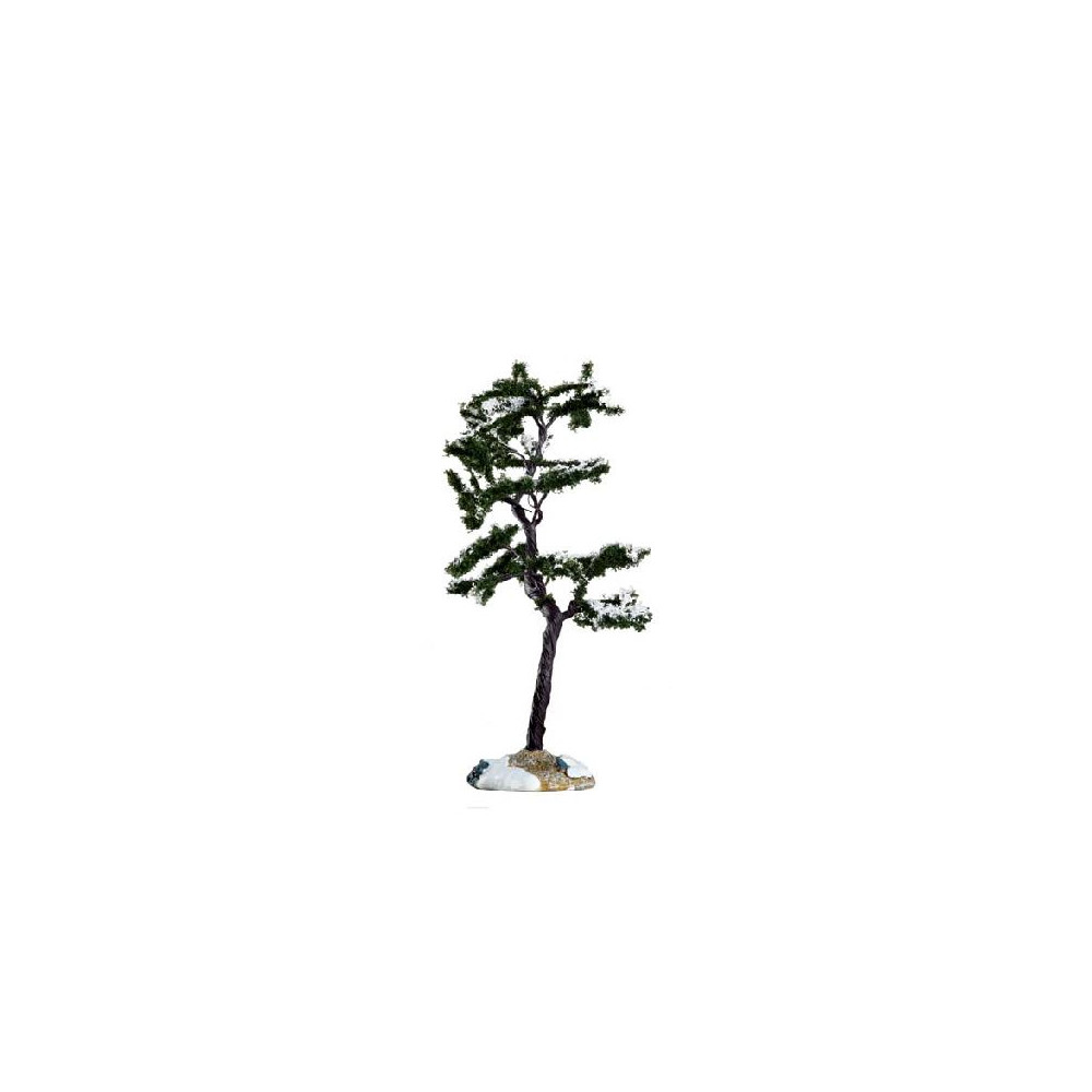MARCESCENT TREE, SMALL MARCESCENT TREE, SMALL