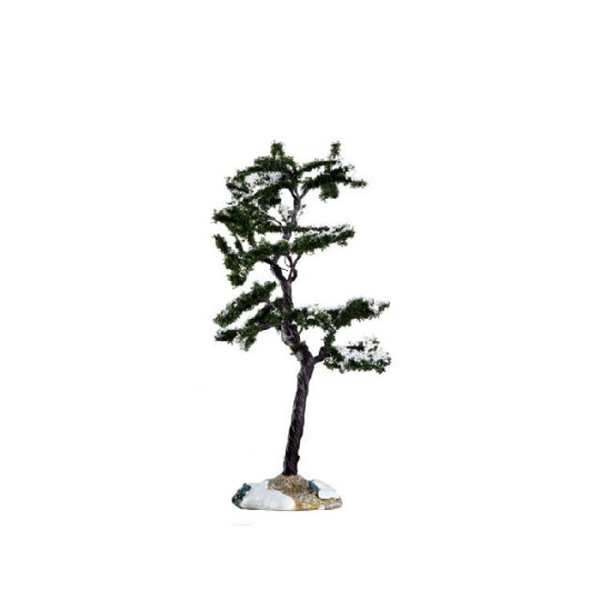 MARCESCENT TREE, SMALL MARCESCENT TREE, SMALL