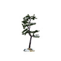 MARCESCENT TREE, SMALL