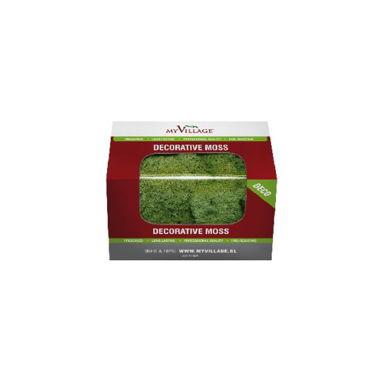 MUSCHIO LICHENE VERDE 50GR MUSCHIO LICHENE VERDE 50GR