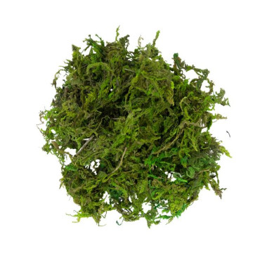 MATERIALE DECORATIVO MUSCHIO VERDE 30GR