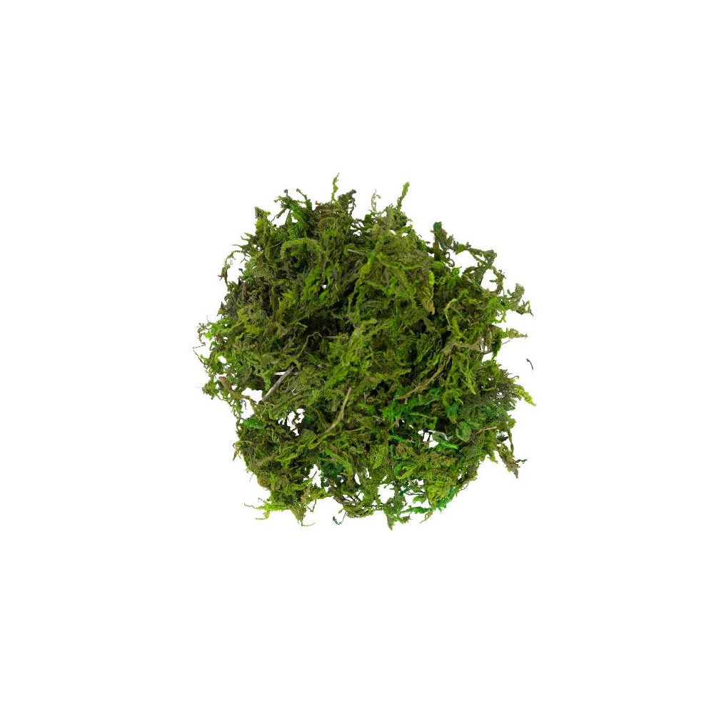 MATERIALE DECORATIVO MUSCHIO VERDE 30GR MATERIALE DECORATIVO MUSCHIO VERDE 30GR