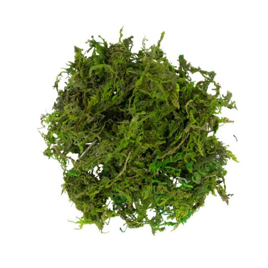 MATERIALE DECORATIVO MUSCHIO VERDE 30GR MATERIALE DECORATIVO MUSCHIO VERDE 30GR