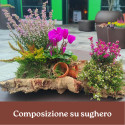 COMPOSIZIONE DI SUGHERO
