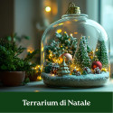TERRARIUM DI NATALE