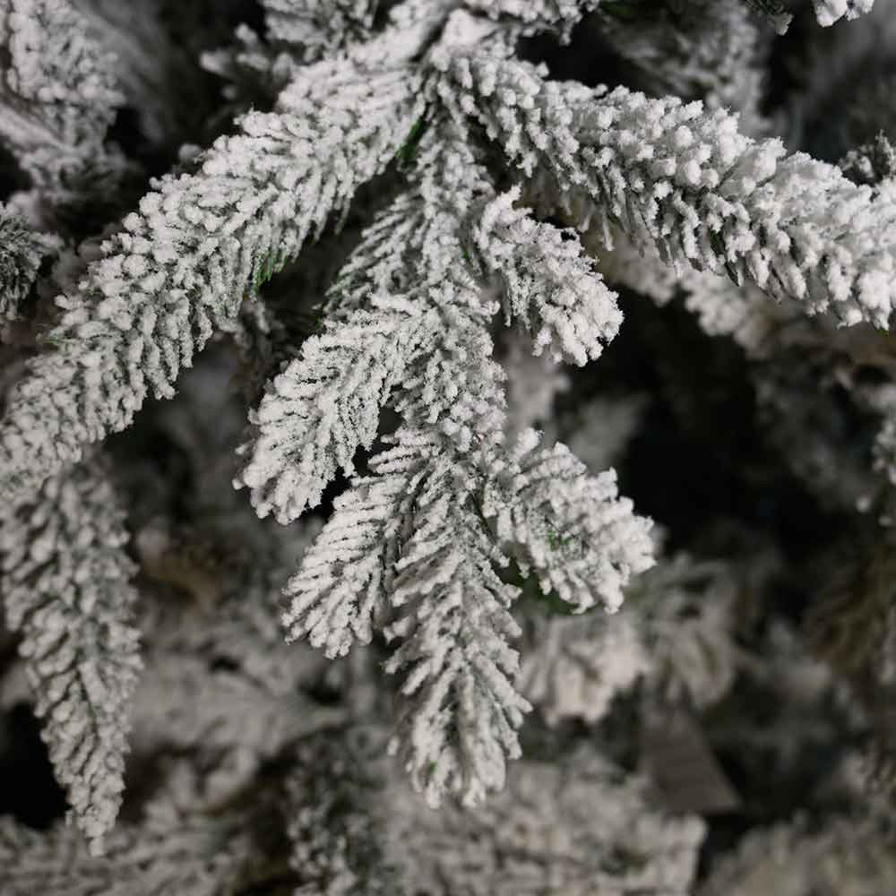 PINO MONTANA INN. 240CM D142 2003T PE PV