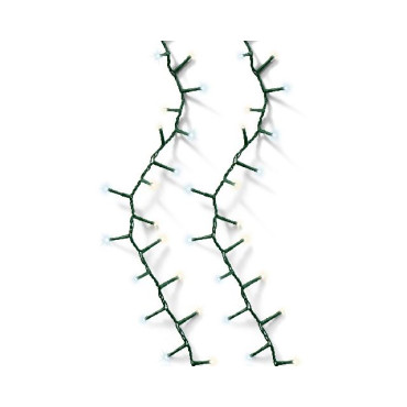 1000LED COMPACT TWINKLE B.CALDO/FREDDO 2