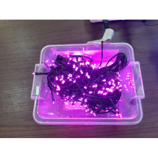 300LED CAVO TRASP CICLAMINIO C/C VALIGET