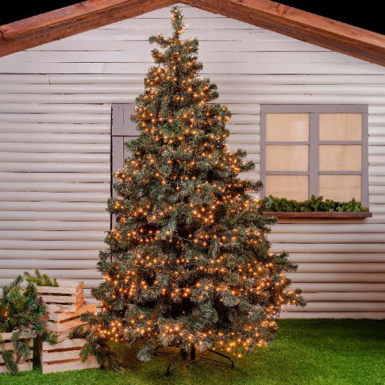 CLUSTER 400 LED 5MM C/C TIMER TRADITIONA