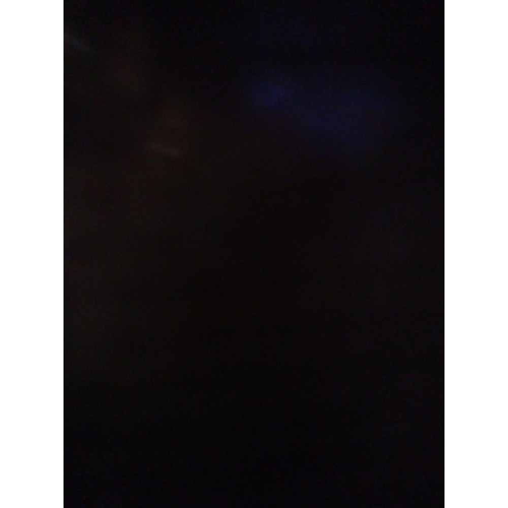 CONO STELLA PET IRRID D12XH40CM 100LED