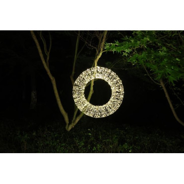 CORONA D58CM 3D CHAMP 960LED WW FLASH