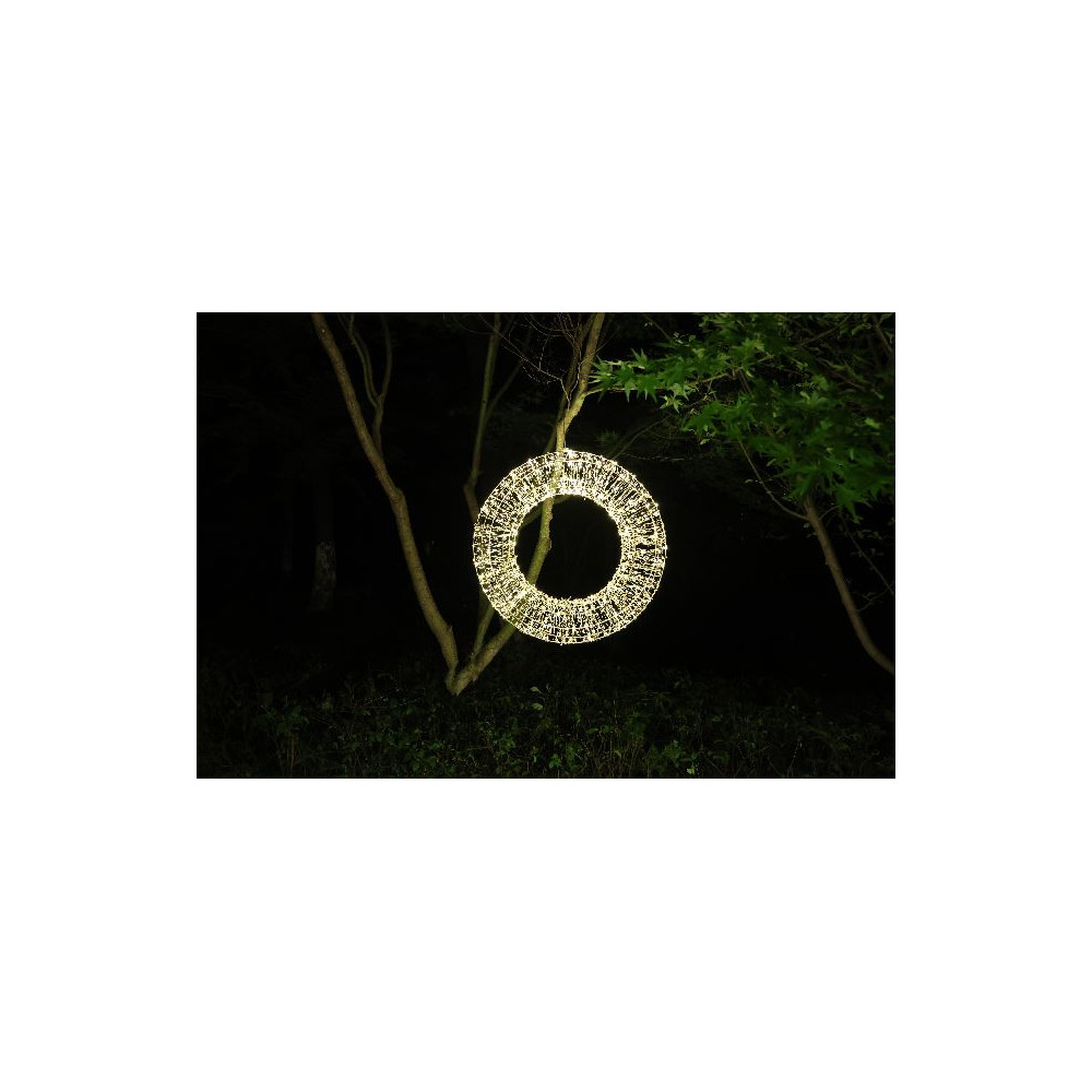 CORONA D58CM 3D CHAMP 960LED WW FLASH