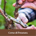 CORSO DI POTATURA
