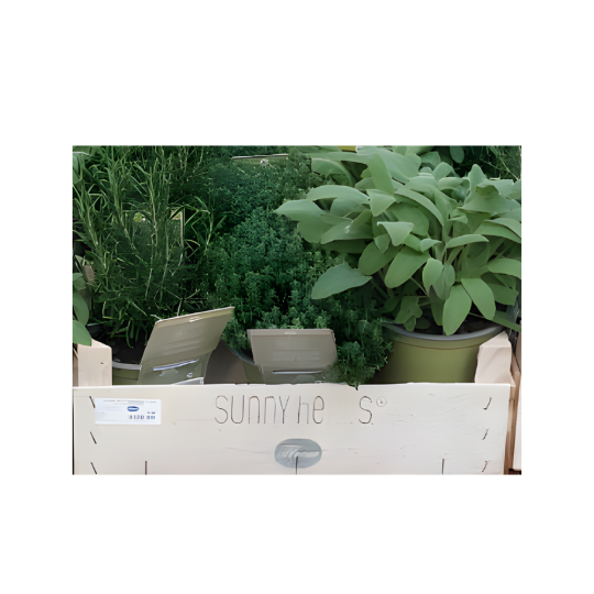 CASSETTA LEGNO CON 3 AROMI