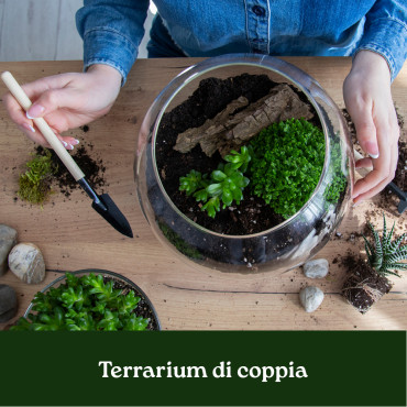 CORSO TERRARIUM DI COPPIA