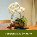 CORSO COMPOSIZIONE BOTANICA
