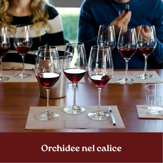 ORCHIDEE NEL CALICE